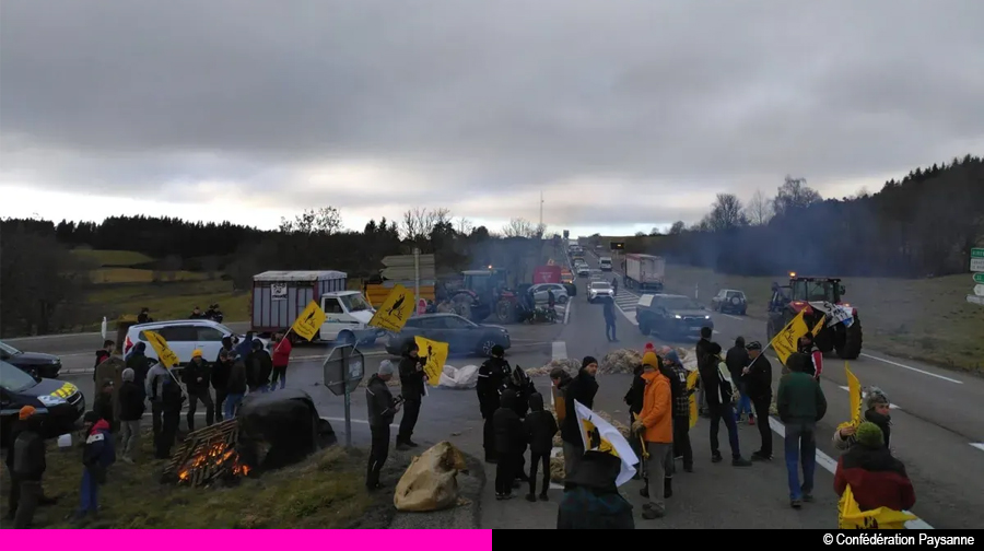 Contestation des agriculteurs contre l'abattage des élevages bovins.